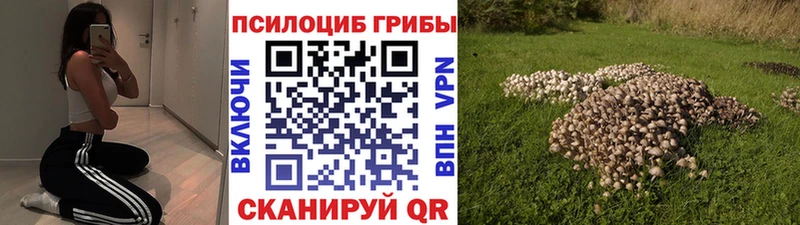 Галлюциногенные грибы прущие грибы  закладки  Сретенск 